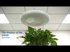 Controle esperto do App fã de teto nivelado do diodo emissor de luz da montagem de 20 polegadas para o quarto